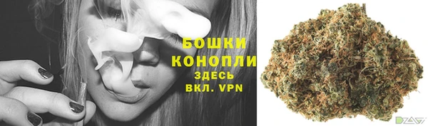 хмурый Кодинск