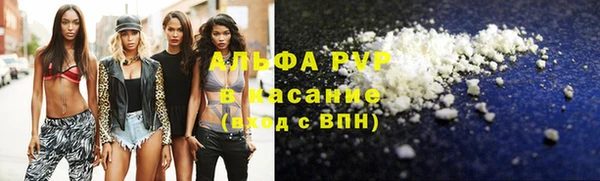 сатива Козловка