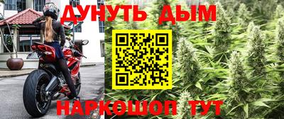сатива Волжск
