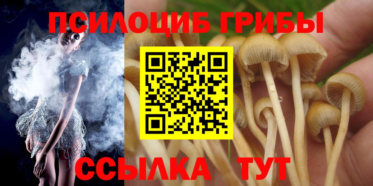 Кстово  хочу наркоту  Псилоцибиновые грибы ЛСД  Вход с VPN  Псилоцибиновые грибы мухоморы 